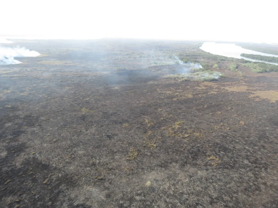 Imagem ilustrativa da imagem Incêndio de grandes proporções que atinge o Parque Nacional de Ilha Grande já dura oito dias