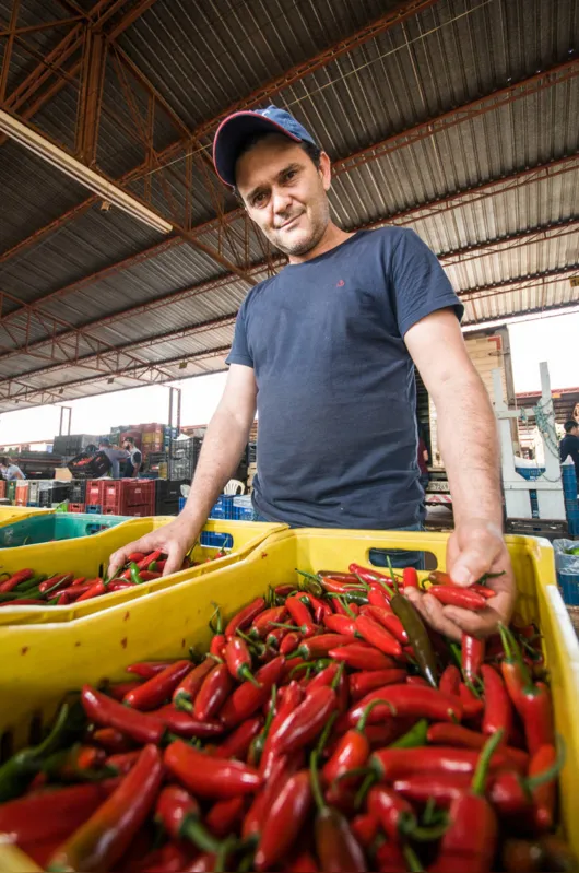 Vermelhas e graúdas, as pimentas Camino Real conhecidas como "Mexicana", se destacam na banca do produtor Sérgio Proença