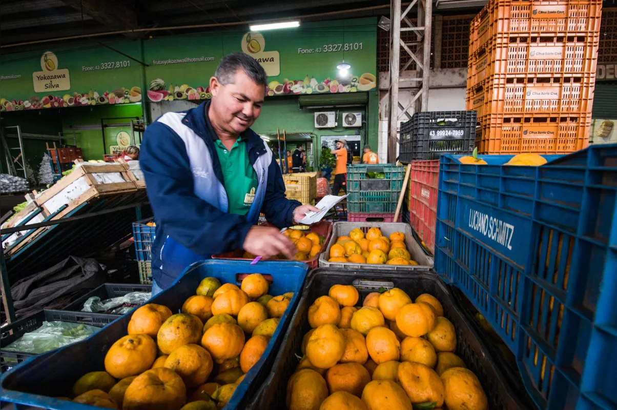 No início da safra, Sérgio Silva negociou frutas vindas de São Paulo, agora finaliza a produção vinda de Cerro Azul