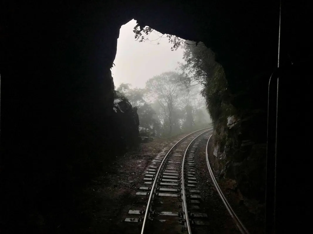 Imagem ilustrativa da imagem Os Caminhos de Ferro