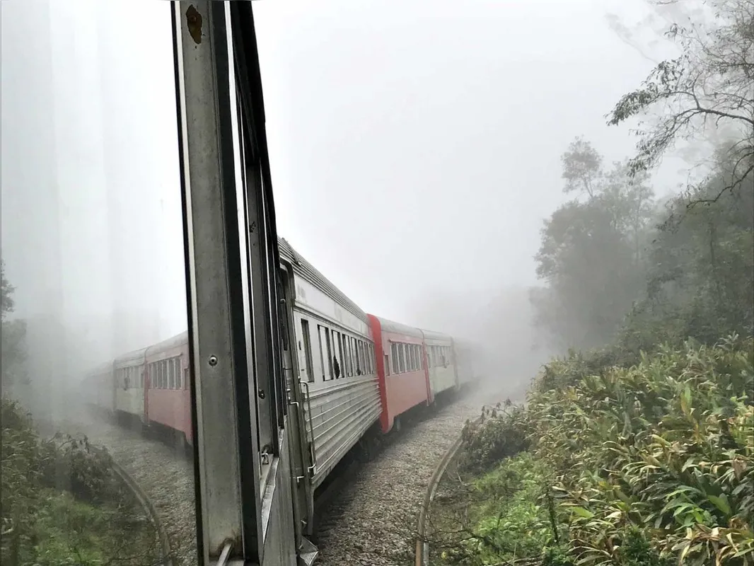 Imagem ilustrativa da imagem Os Caminhos de Ferro