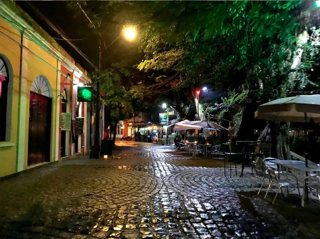 Imagem ilustrativa da imagem Os Caminhos de Ferro