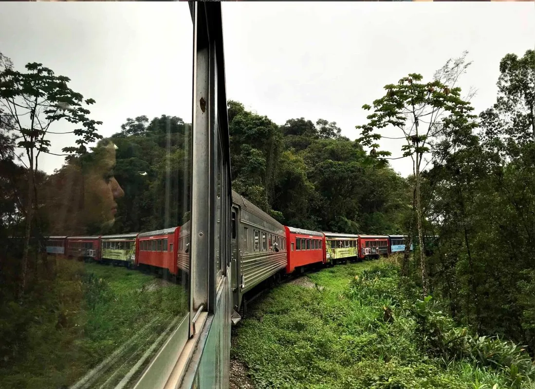 Imagem ilustrativa da imagem Os Caminhos de Ferro
