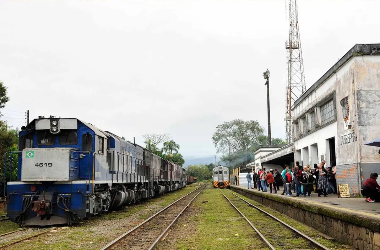 Imagem ilustrativa da imagem Os Caminhos de Ferro