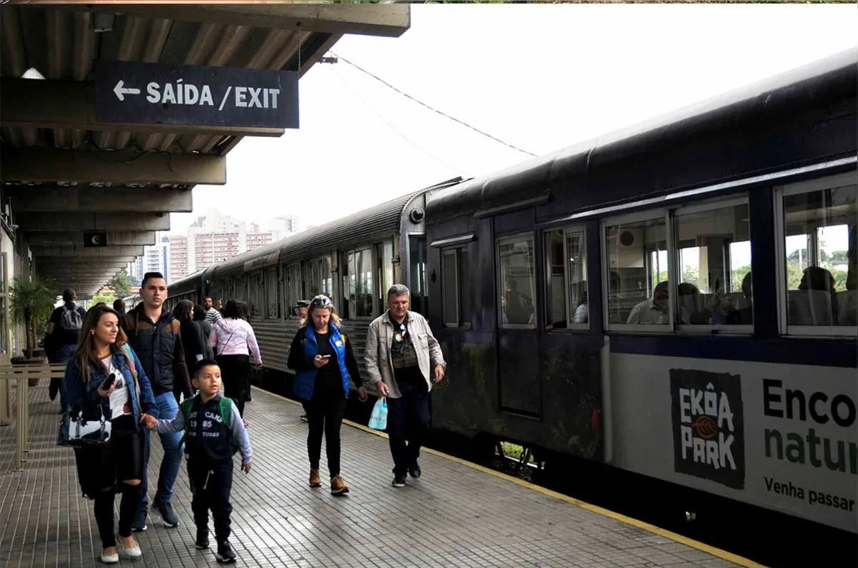 Imagem ilustrativa da imagem Os Caminhos de Ferro
