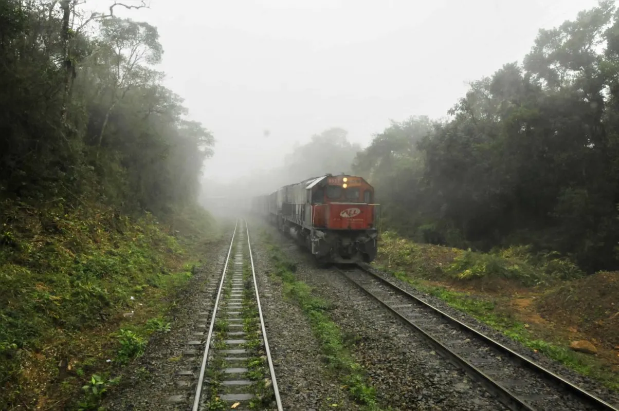 Trem de carga na Serra do Mar