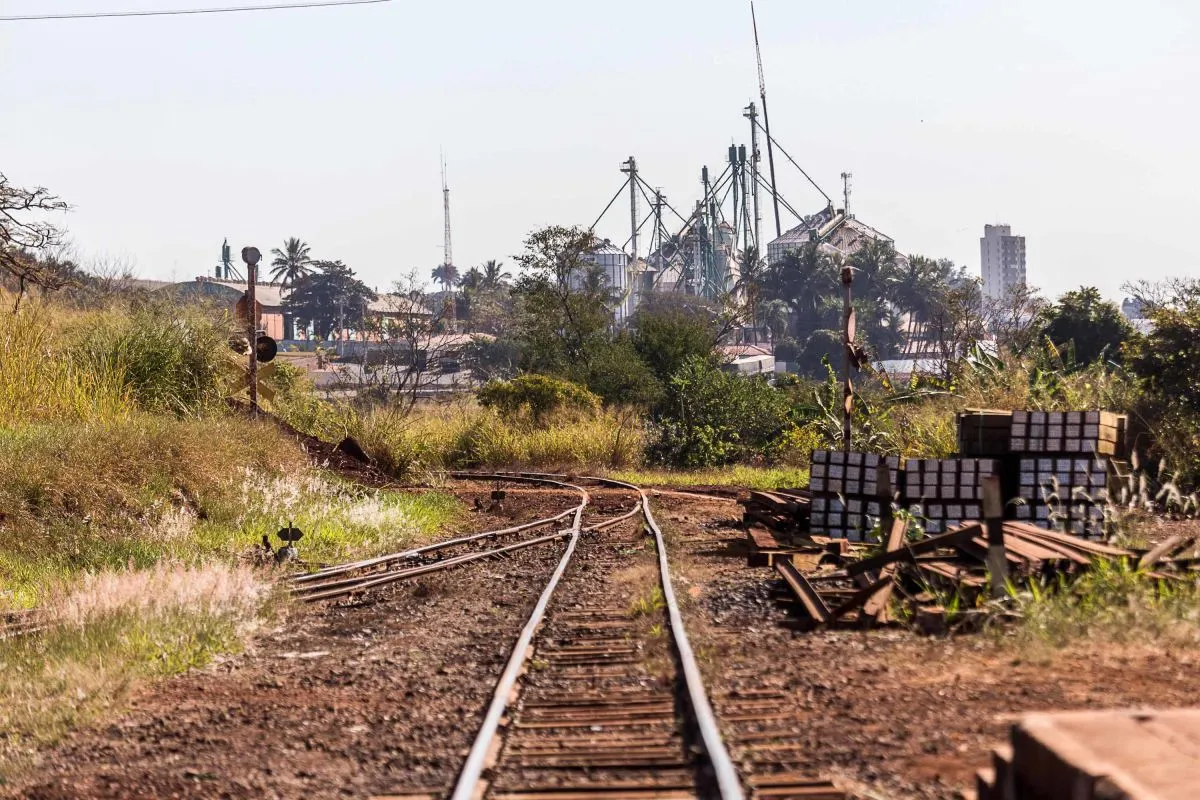 Imagem ilustrativa da imagem Os Caminhos de Ferro