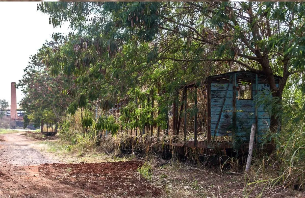 Imagem ilustrativa da imagem Os Caminhos de Ferro