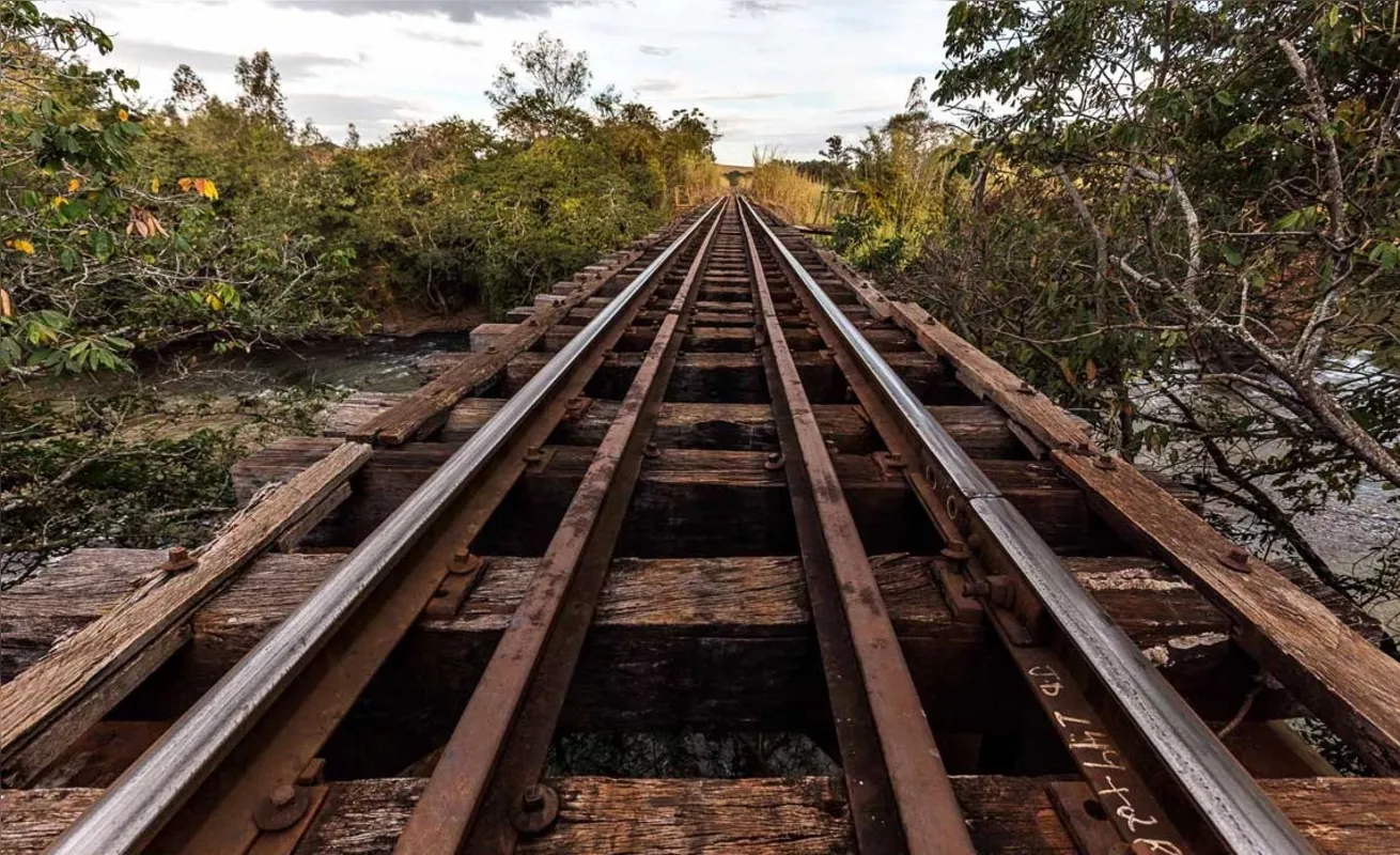Imagem ilustrativa da imagem Os Caminhos de Ferro