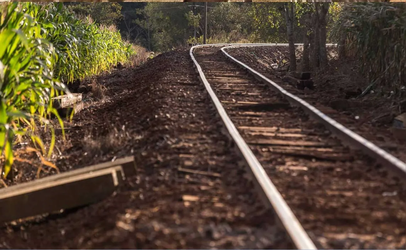 Imagem ilustrativa da imagem Os Caminhos de Ferro