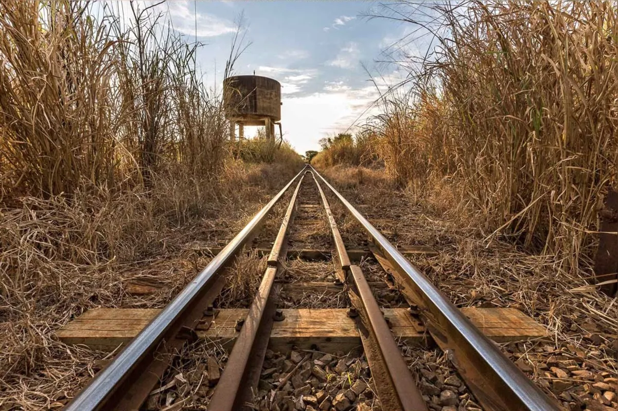 Imagem ilustrativa da imagem Os Caminhos de Ferro