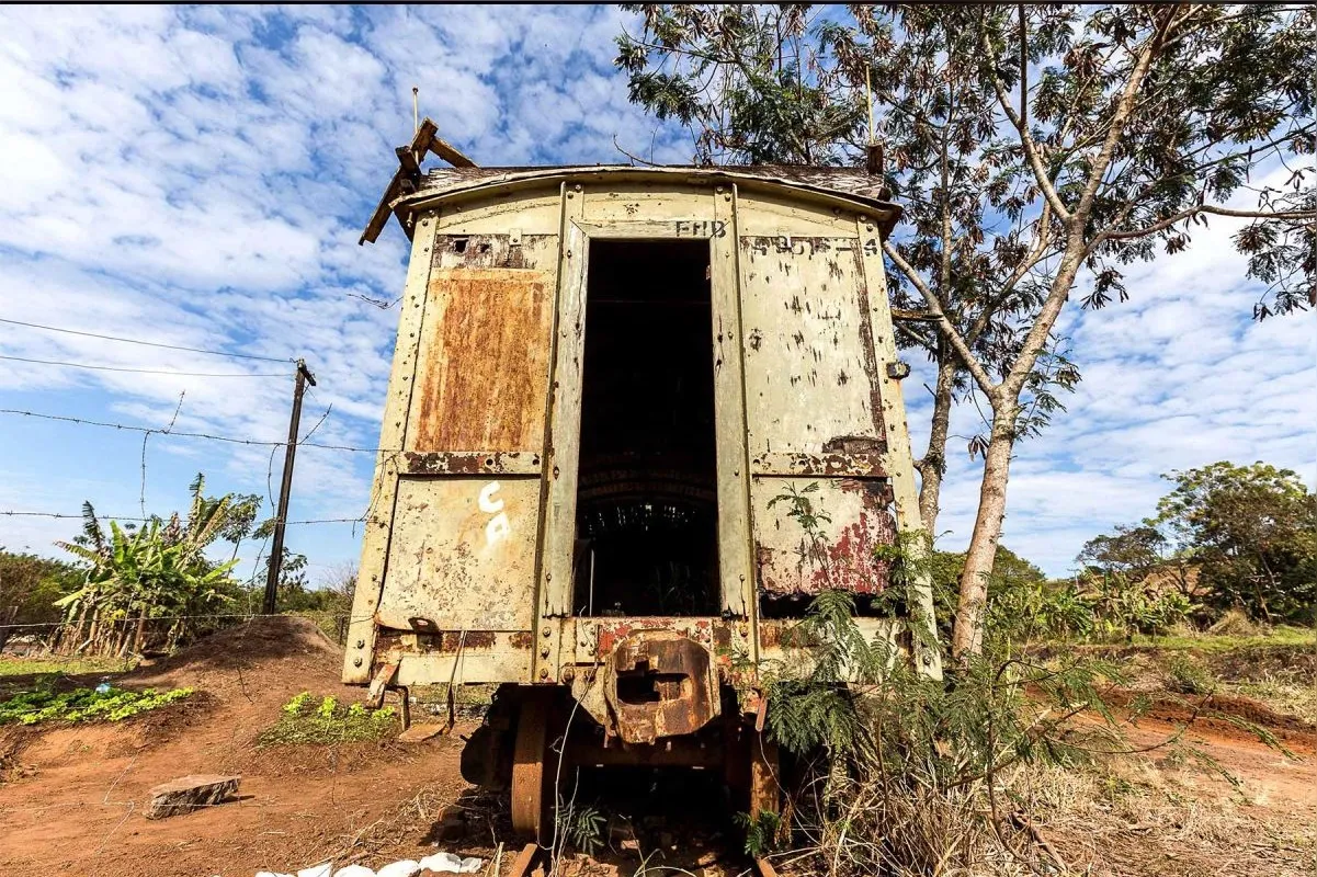 Imagem ilustrativa da imagem Os Caminhos de Ferro