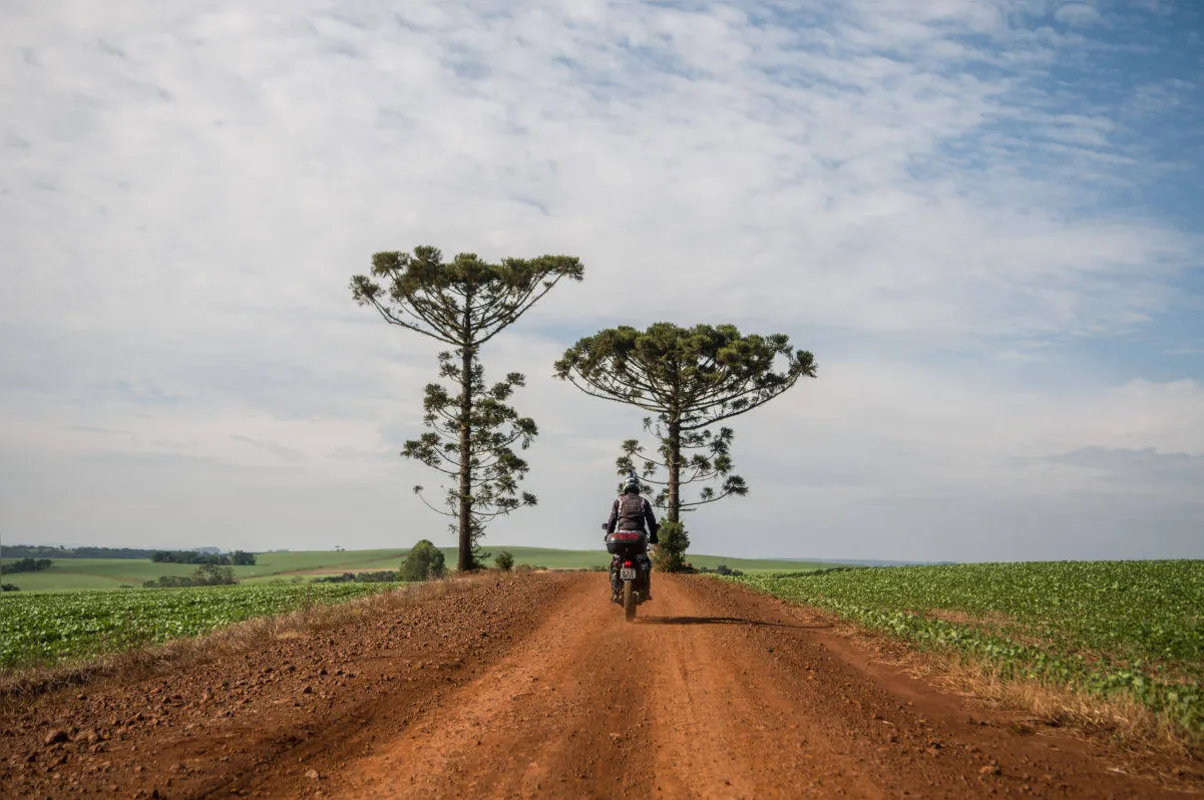 Imagem ilustrativa da imagem Os Pés na Estrada