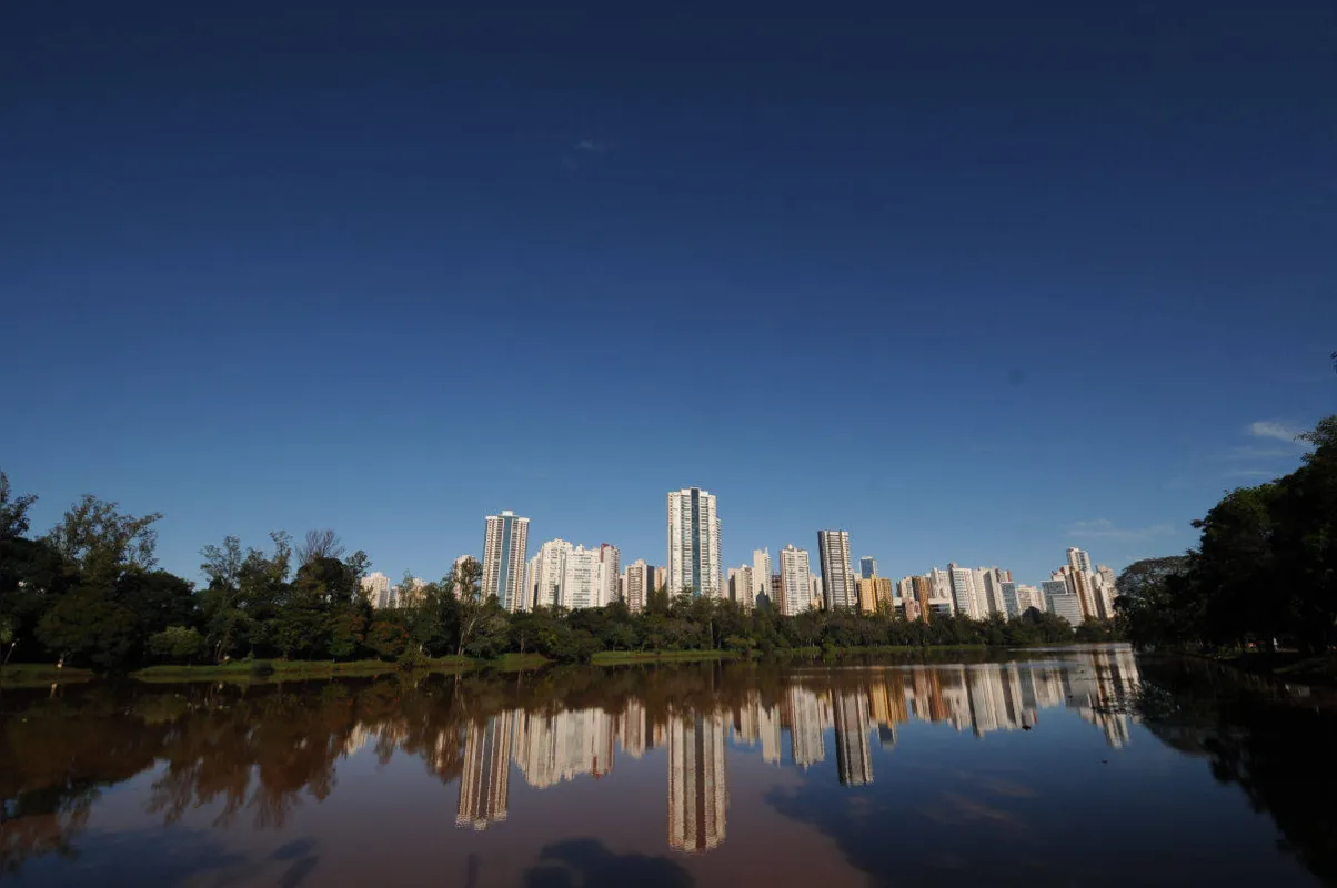 Imagem ilustrativa da imagem Os Pés na Estrada