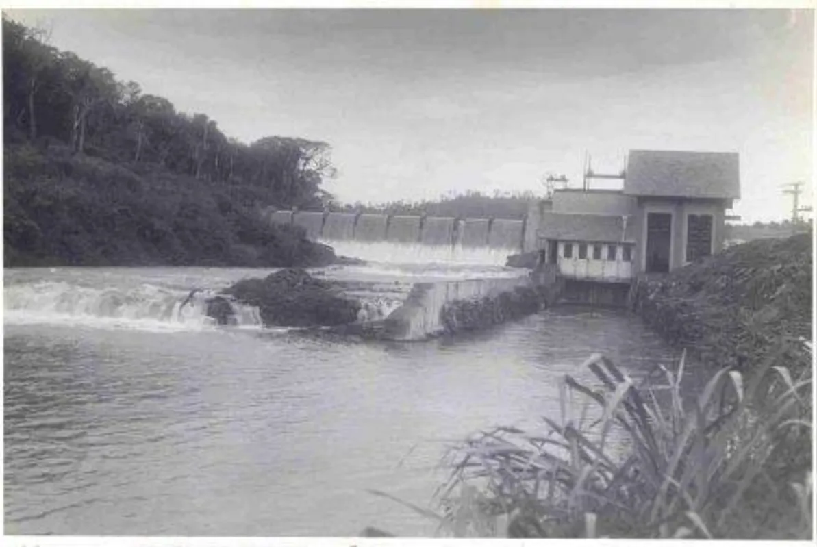 Parque Ecológico Daisaku Ikeda (Foto: Arquivo BPM)