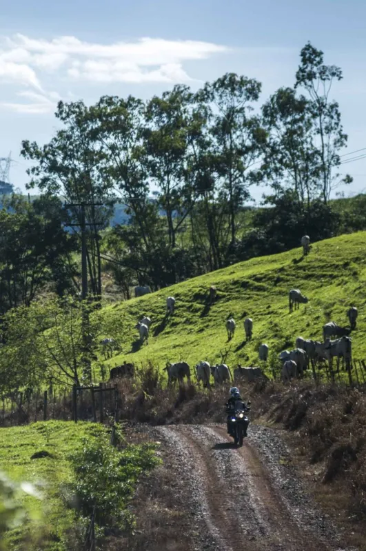 Imagem ilustrativa da imagem Os Pés na Estrada