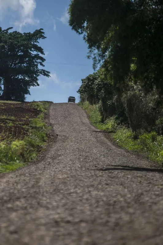 Imagem ilustrativa da imagem Os Pés na Estrada