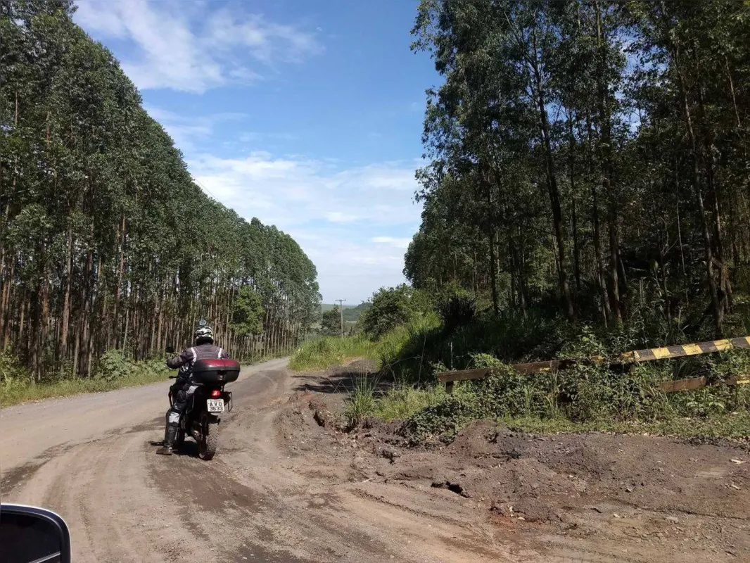Imagem ilustrativa da imagem Os Pés na Estrada