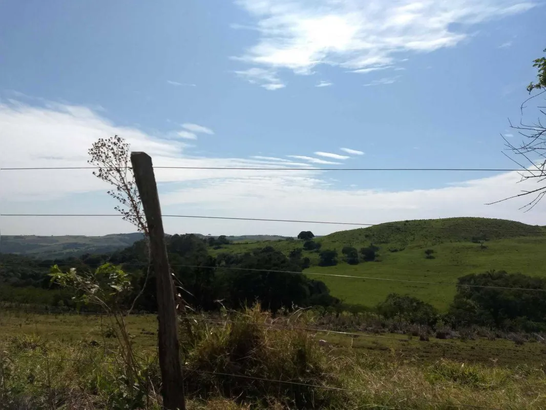 Imagem ilustrativa da imagem Os Pés na Estrada