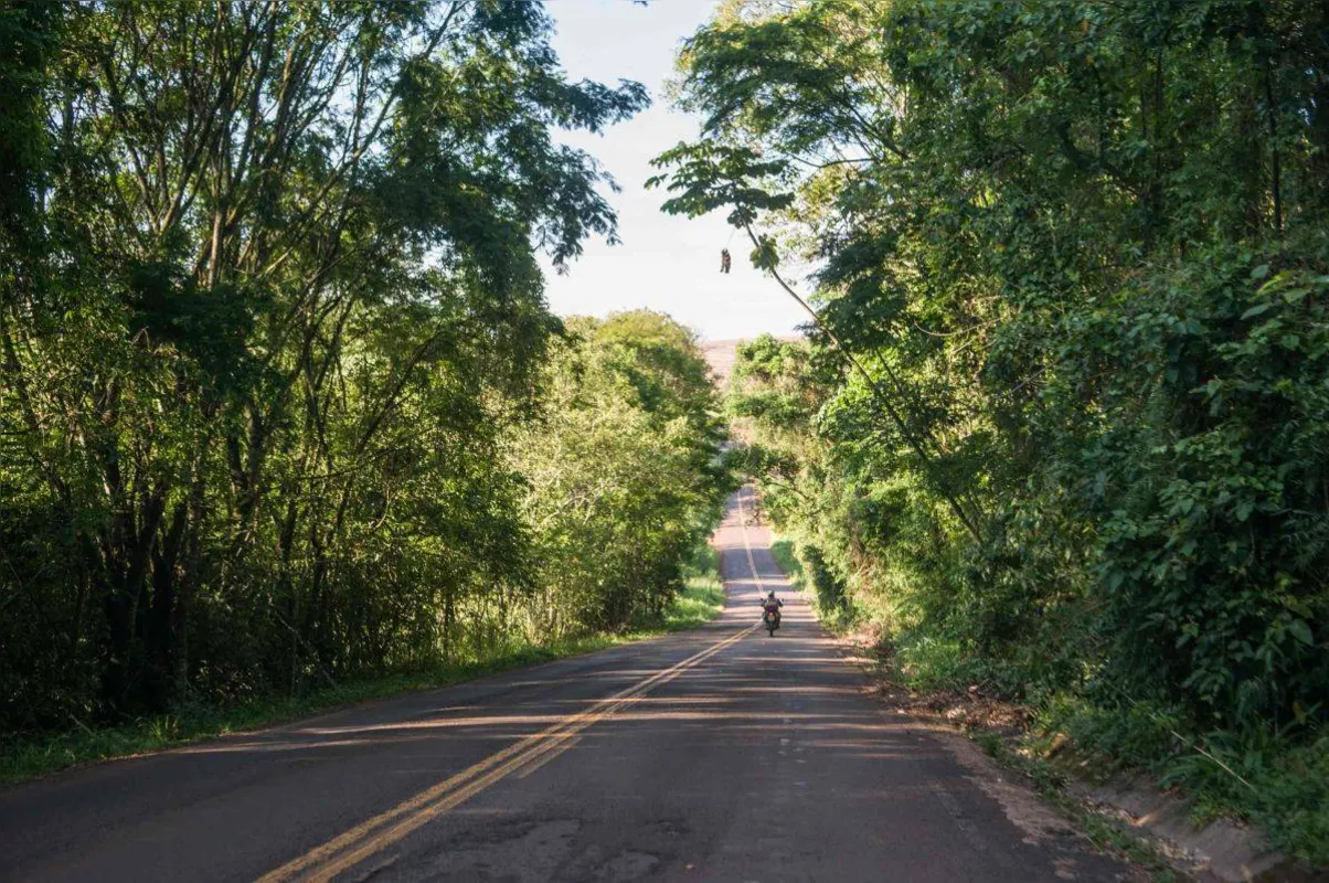 Imagem ilustrativa da imagem Os Pés na Estrada