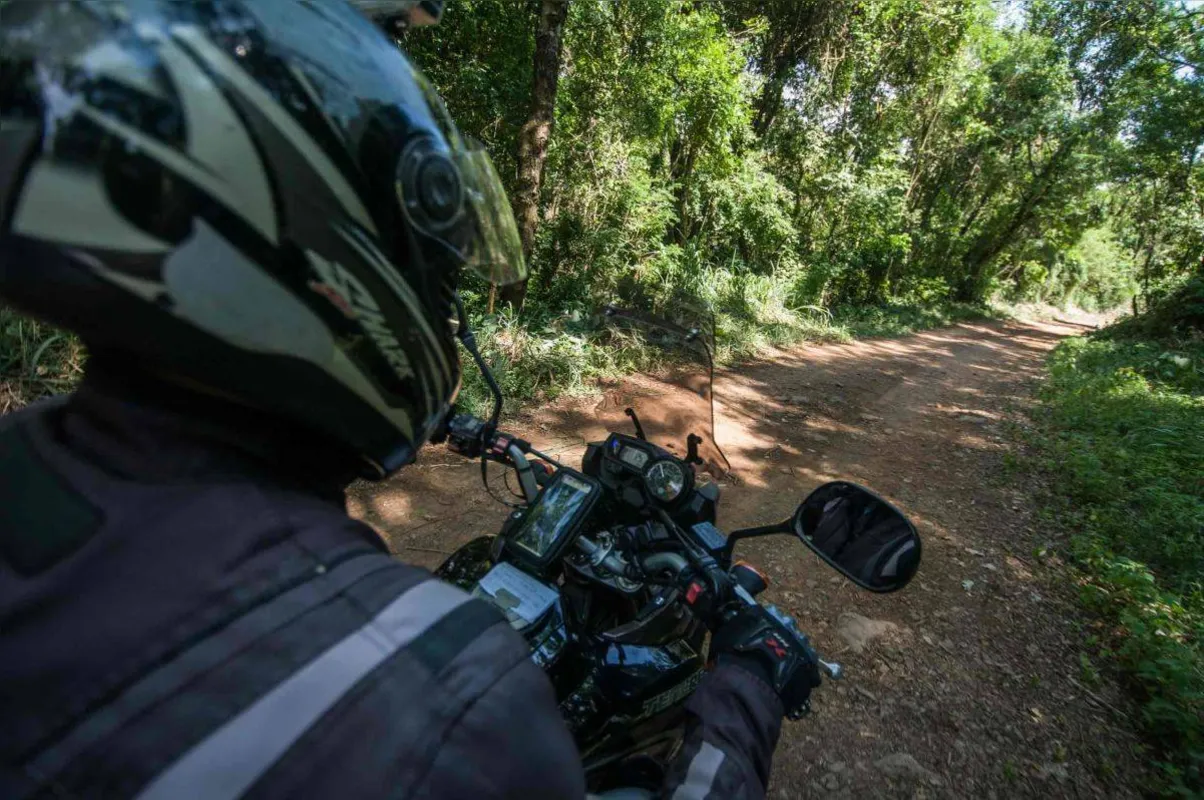 Imagem ilustrativa da imagem Os Pés na Estrada