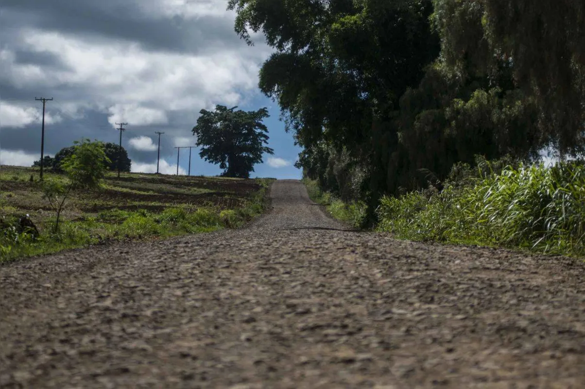 Imagem ilustrativa da imagem Os Pés na Estrada