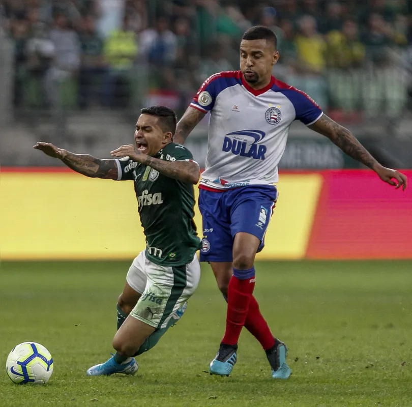 Imagem ilustrativa da imagem Palmeiras só empata com Bahia em casa e segue distante dos Santos