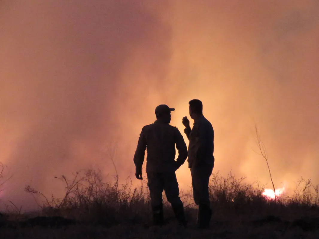 Os focos de incêndio se alastraram rapidamente devido aos fortes ventos no sábado (17); incêndio já consumiu cerca de 48% do parque
