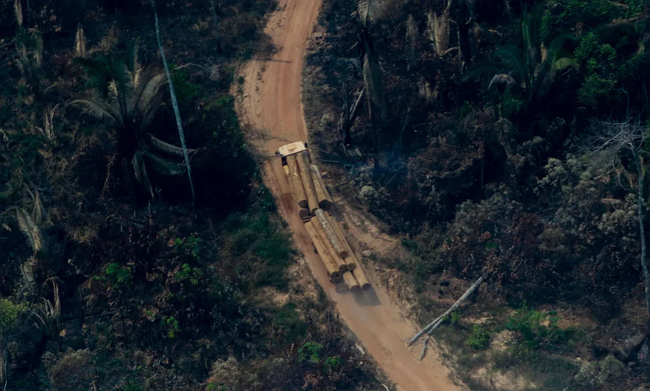 Mobilizações contra o desmatamento da Amazônia mostram a consciência da população sobre o problema ambiental 