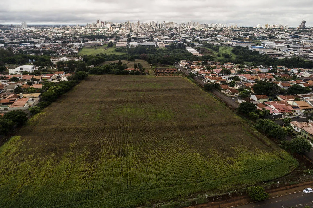 Imagem ilustrativa da imagem Qual o papel da construção civil na economia do Norte do Paraná