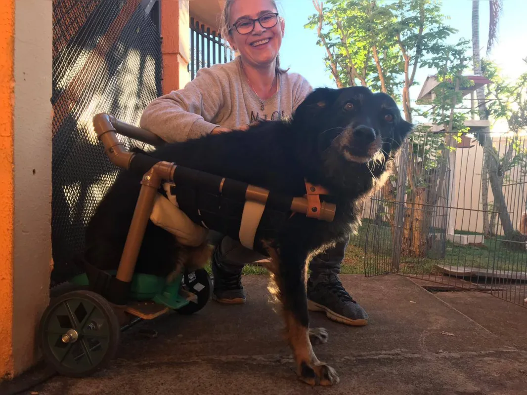 "A gente ainda tem que aprender muito com os animais”, comenta Silvana Rodrigues 