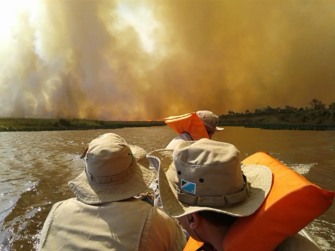 Bombeiros e brigadistas precisaram deixar o combate ao incêndio por medida de segurança