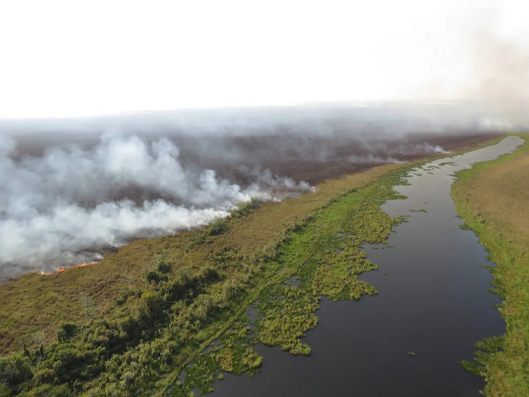 Imagem ilustrativa da imagem Rajadas de vento alastram chamas e dificultam combate a incêndio no Parque Nacional de Ilha Grande