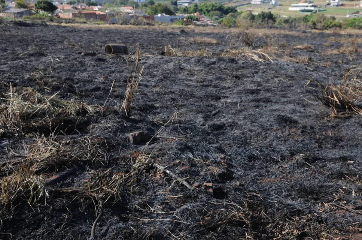 Imagem ilustrativa da imagem Região de Londrina é a campeã em número de queimadas no Paraná
