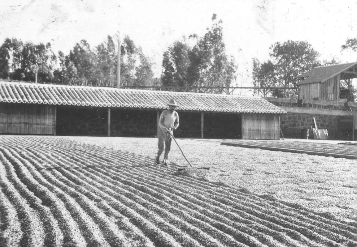 Imagem ilustrativa da imagem Rota do Café