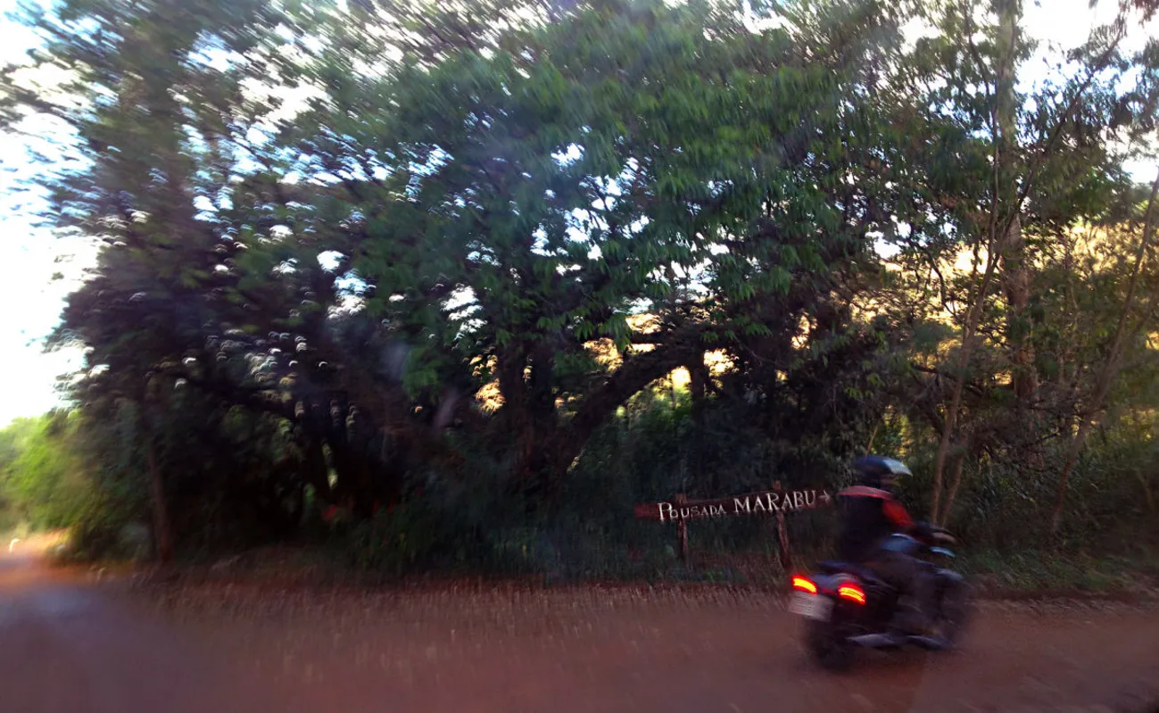 (Foto: Patrícia Maria Alves)