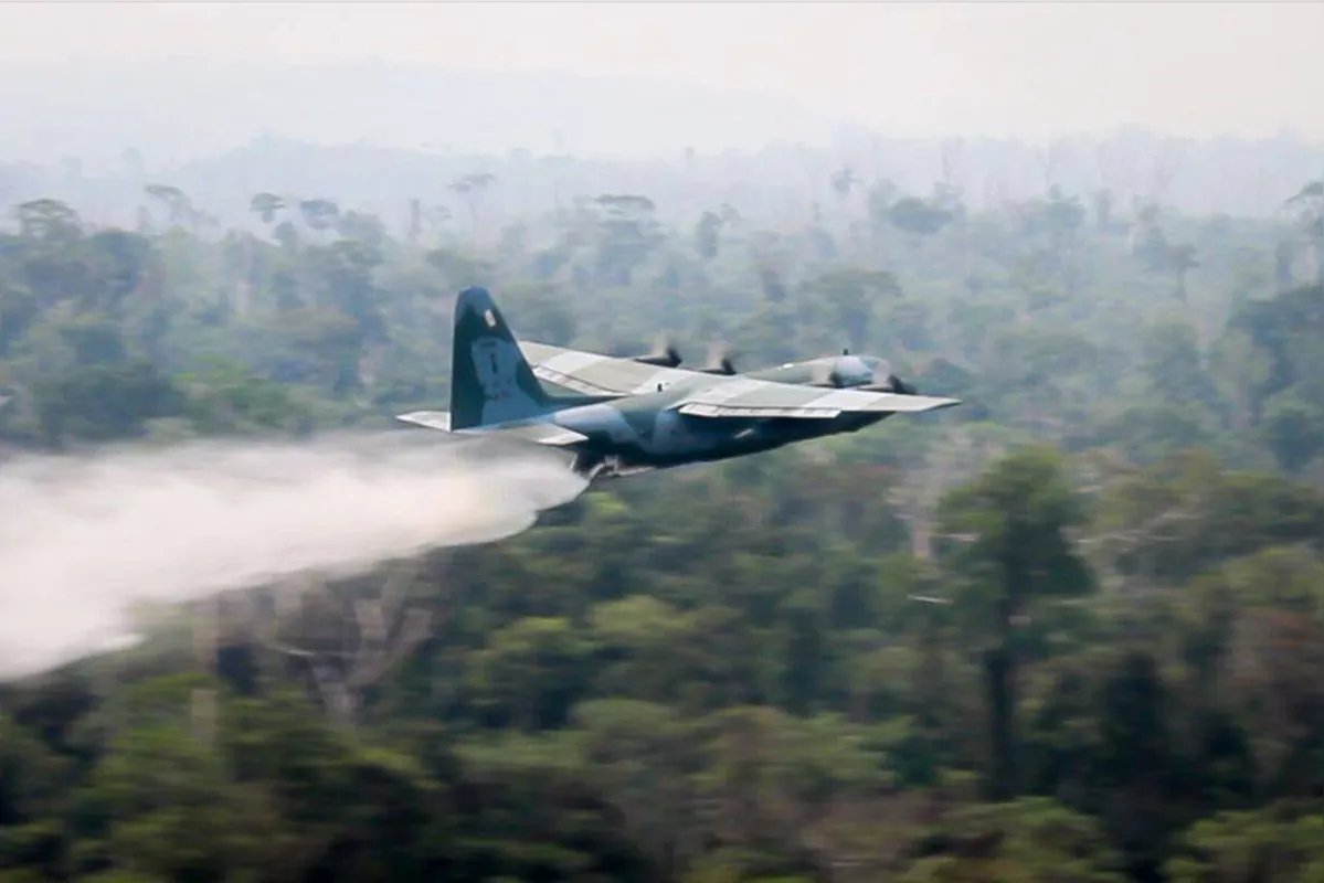 Imagem ilustrativa da imagem Sete estados já pediram apoio federal para combater incêndios