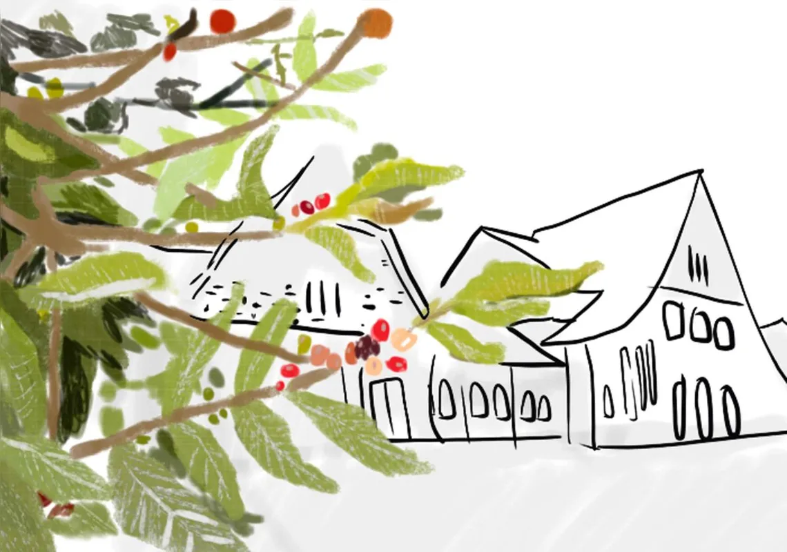 Imagem ilustrativa da imagem #Sinta Londrina