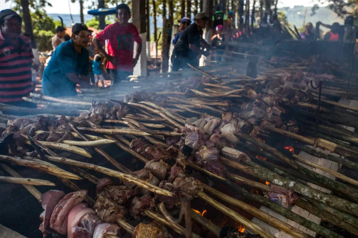 Imagem ilustrativa da imagem TERRAE BRASILIS - Os primeiros da terra