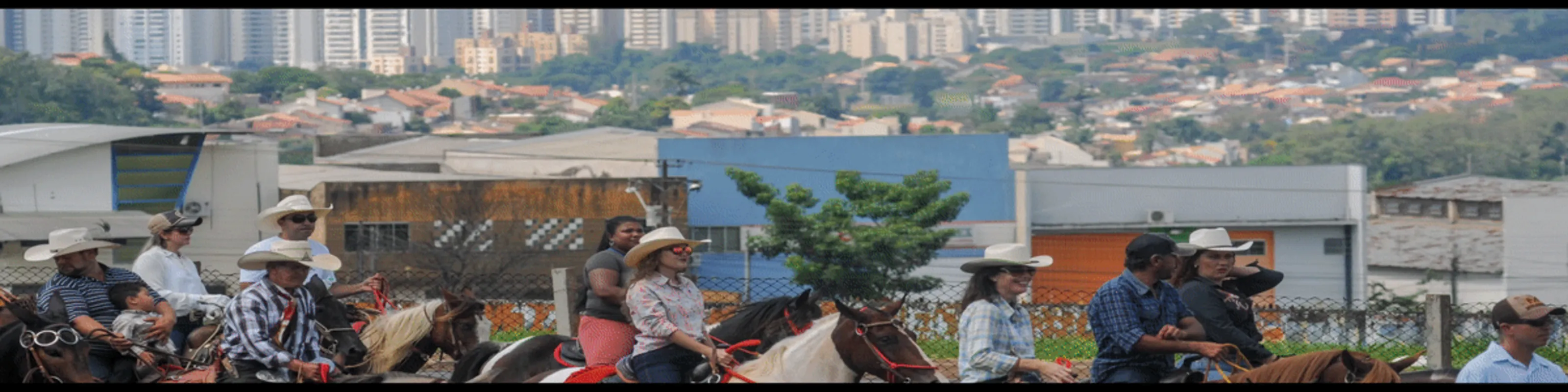 Imagem ilustrativa da imagem Um dia no parque - o rural invade a cidade