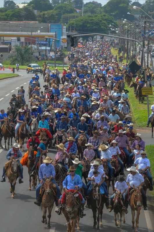 Imagem ilustrativa da imagem Um dia no parque - o rural invade a cidade