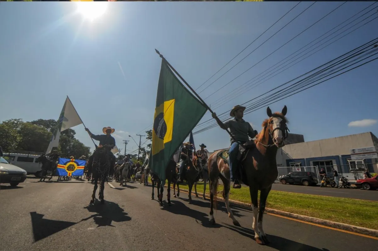 Imagem ilustrativa da imagem Um dia no parque - o rural invade a cidade