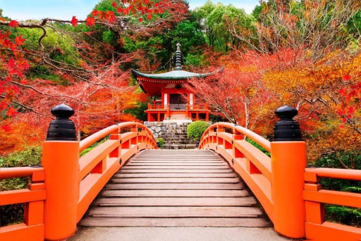 Imagem ilustrativa da imagem Uma ponte entre o Brasil e Japão