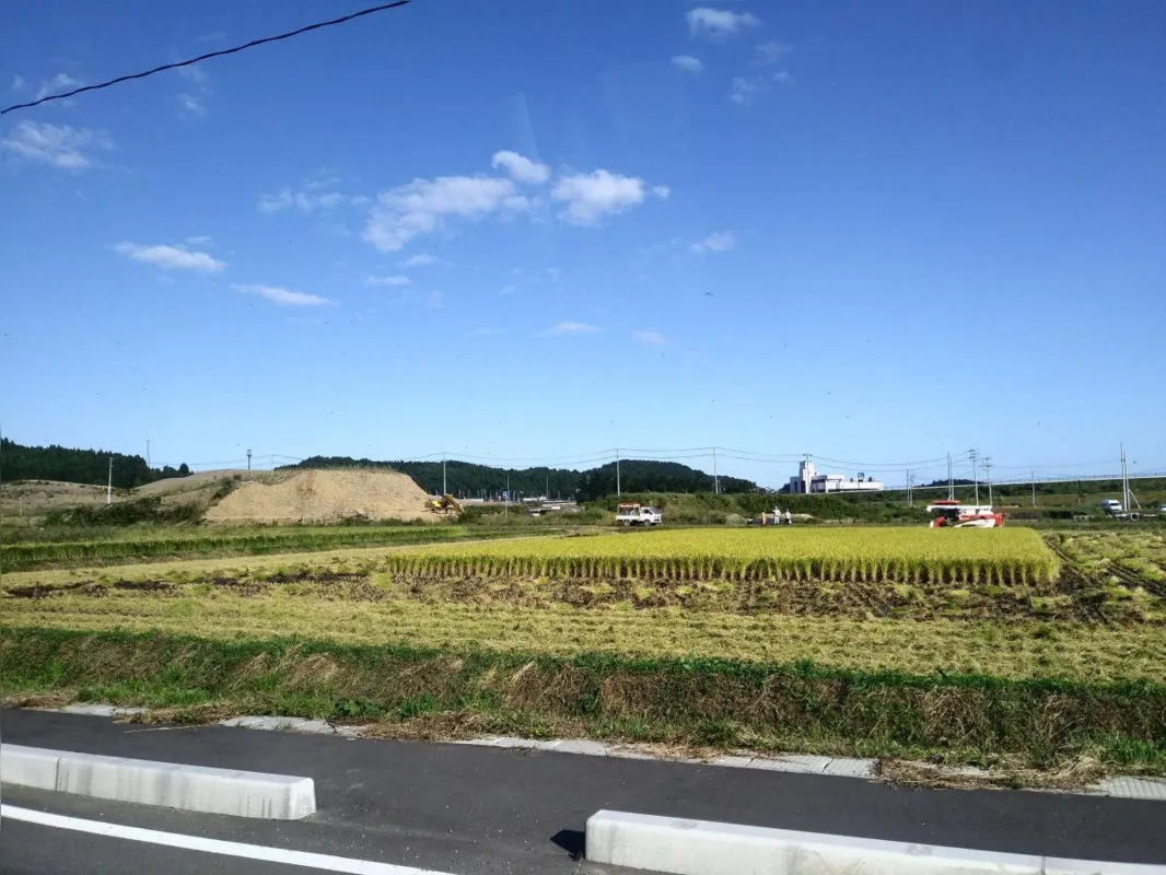 Trabalho de reconstrução na costa leste do Japão