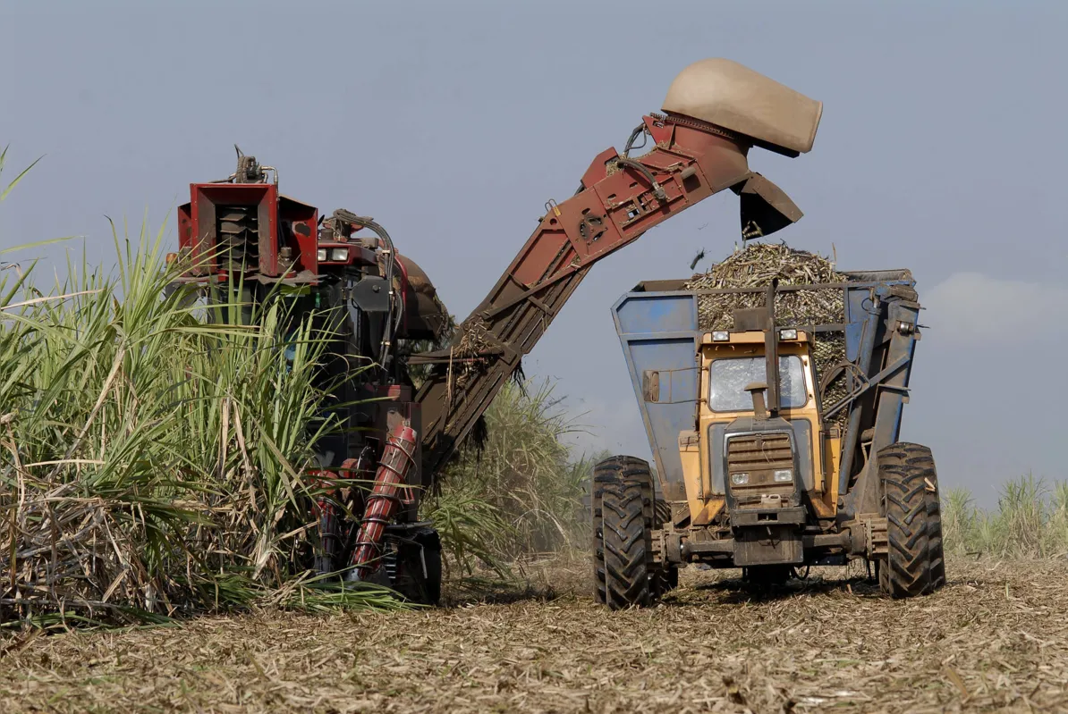Produtores de cana se animam com a possibilidade de países asiáticos adotarem gasolina com álcool