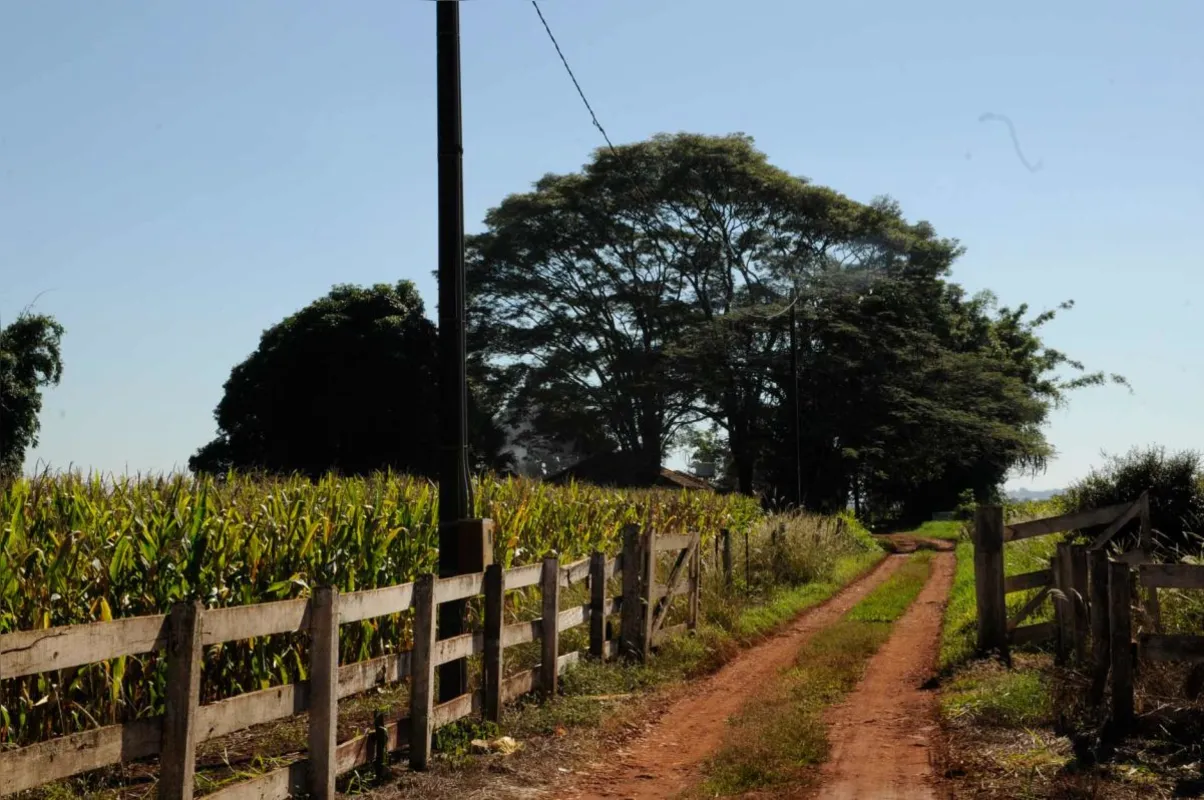 Estrada Rural para Bratislava, distrito de Cambé/PR