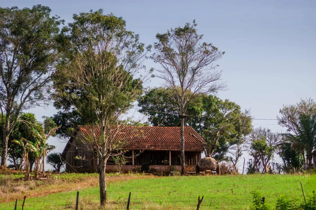Distrito de Pau D'alho do Sul, município de Assaí/PR