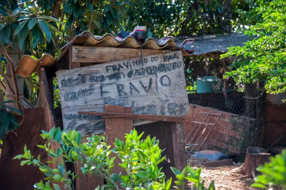 Criado no quintal da residência na avenida principal do distrito de Pau D’Alho tem sua própria casa e é tratado como da família