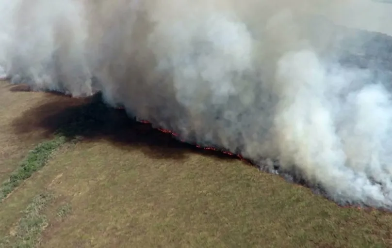 Área atingida pelas chamas é de 32,5 mil hectares