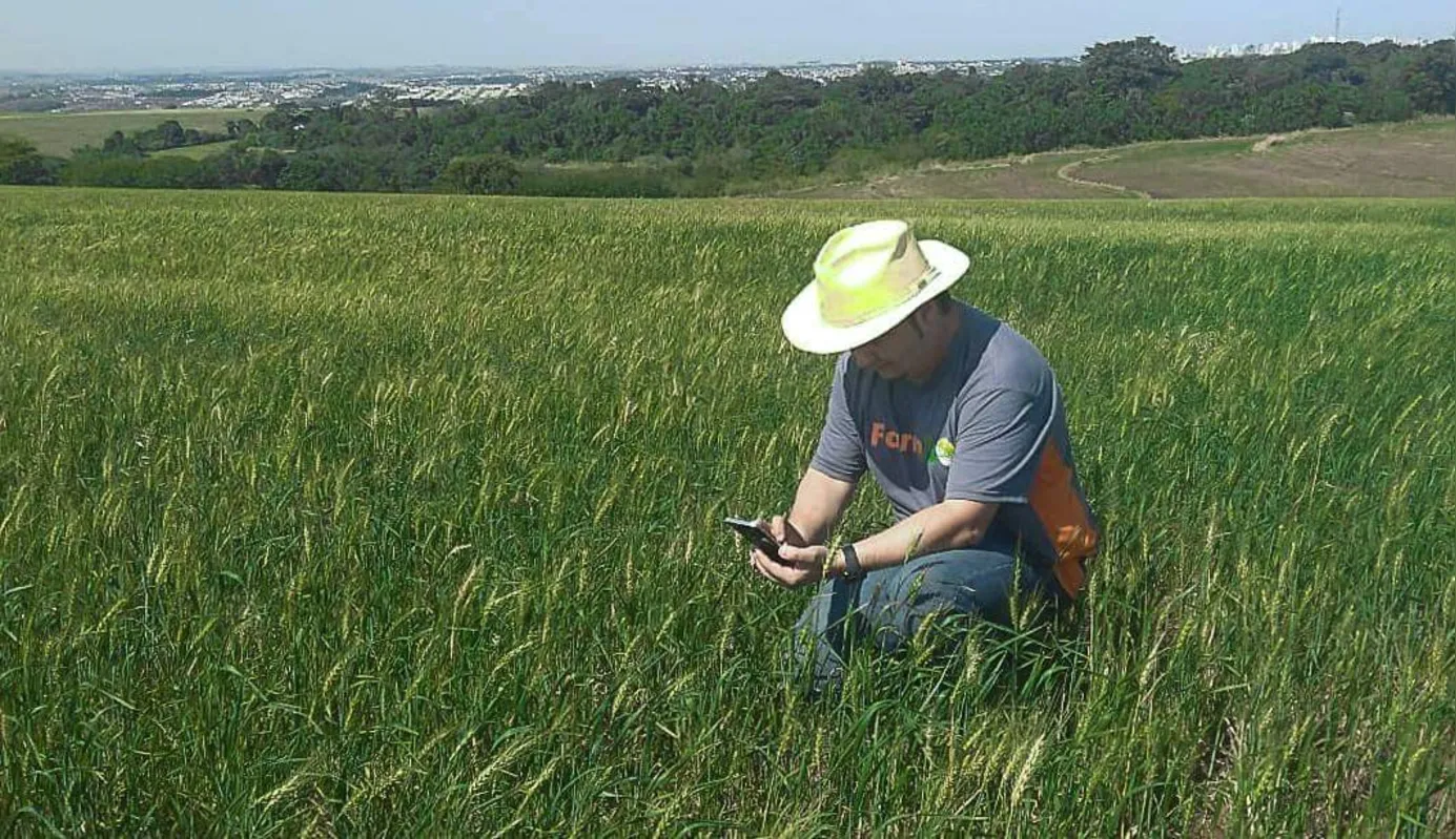 Ricardo Matiello, CEO da FarmGO: estar inserido em um ecossistema permite encontrar apoio para buscar soluções para gargalos tecnológicos ou conhecimento  
